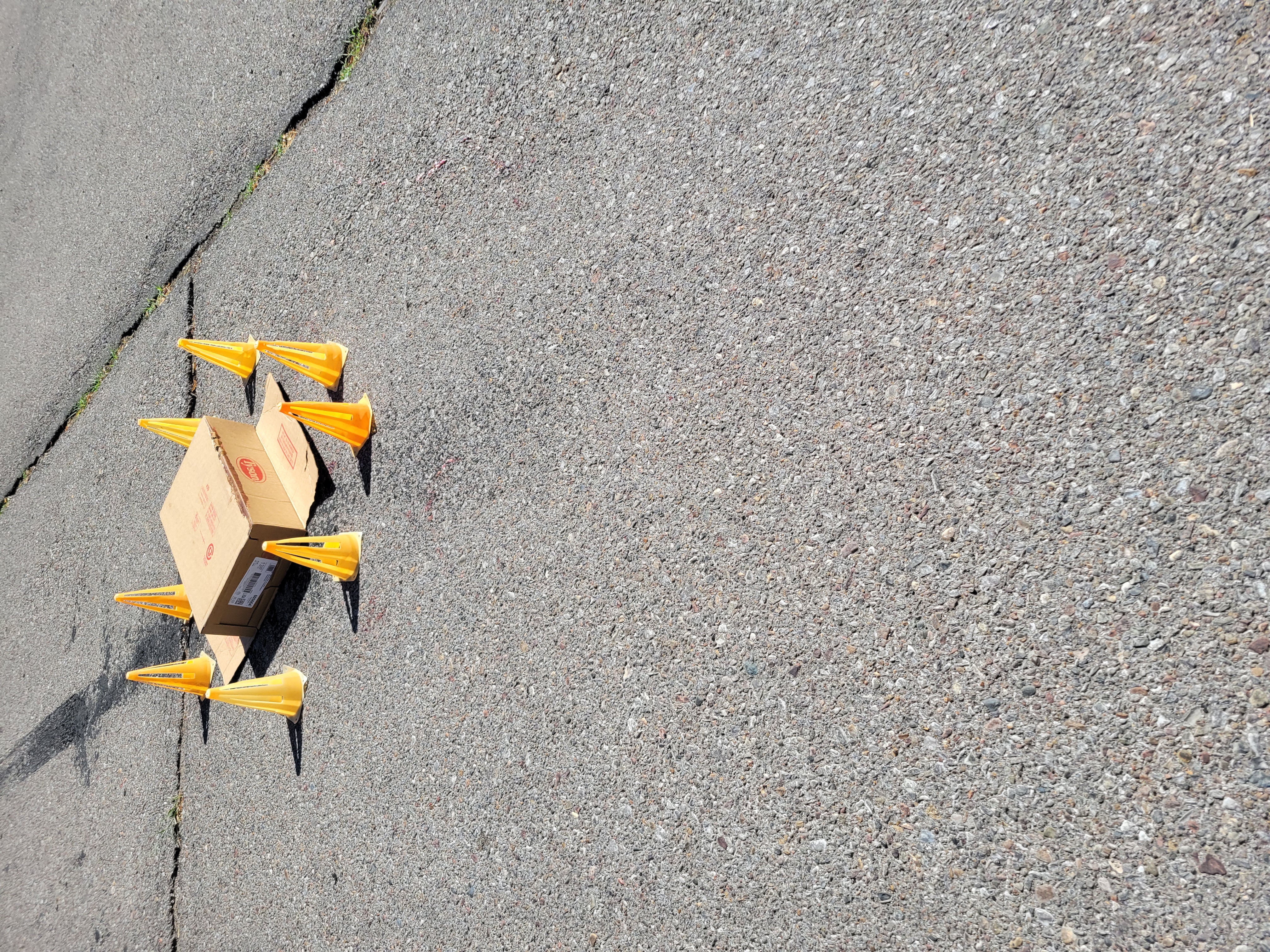 Upside box covering dropped chicken with small cones surrounding it.